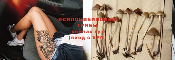 трава Балахна