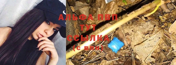 индика Балабаново