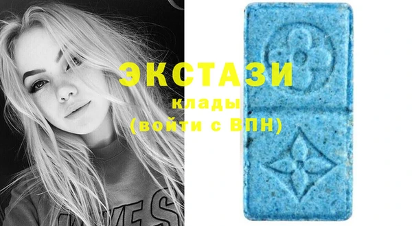 индика Балабаново