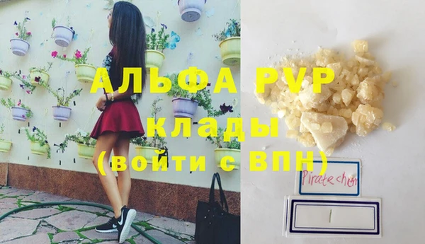 индика Балабаново
