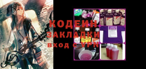 индика Балабаново