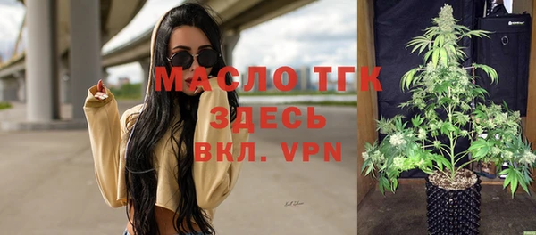 дмт Пестово