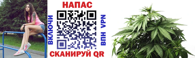 Каннабис Ganja  OMG ссылка  Лесной  где продают  